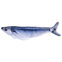 Pacific Saury