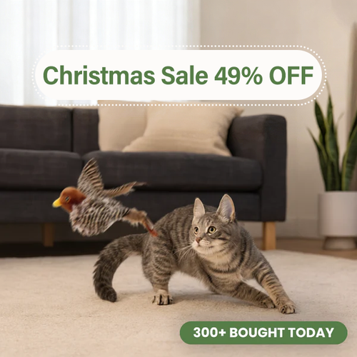 Flying Bird Cat Toy