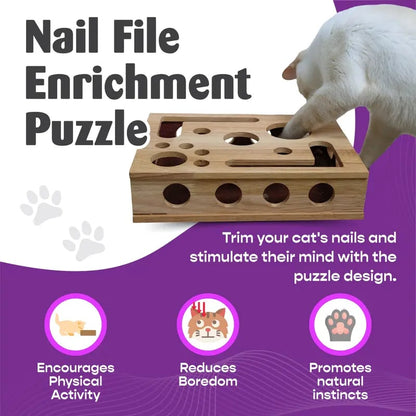 Cat Scratch Puzzle Enrichment Box