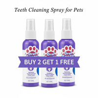 Buy 2 Get 1 Free