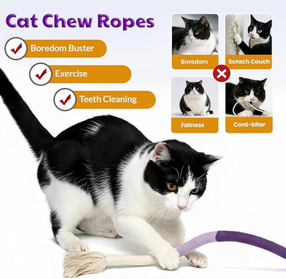🔥😻Catnip Chew Rope Toy – Natural, Safe Tooth Cleaner for Indoor Cats
