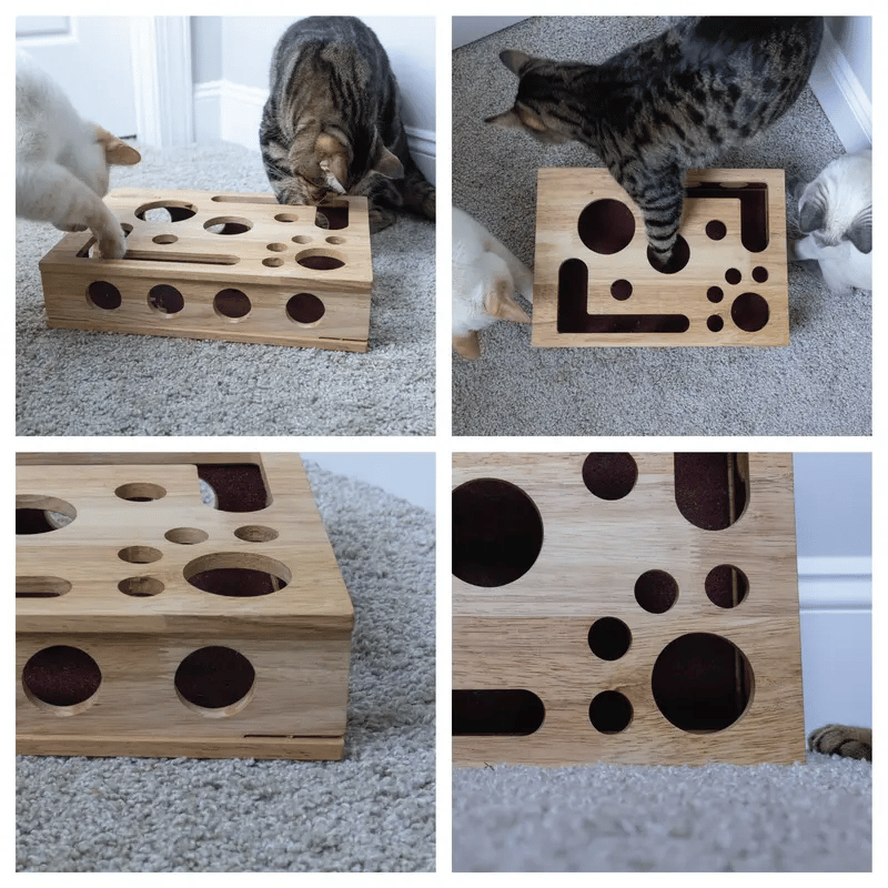Cat Scratch Puzzle Enrichment Box