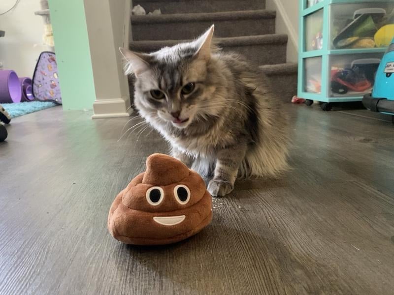 🎁Lowest price ever💥Funny Talking Poop Plush Toy – Makes Fart Sounds!