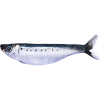 Sardine