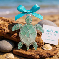 🐢Sea Turtle