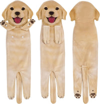 Golden Retriever Puppy