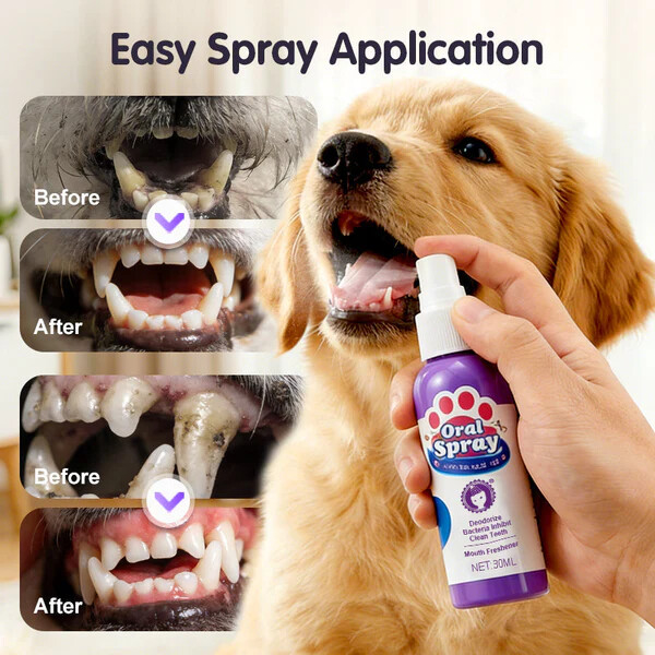 🔥Teeth Cleaning Spray for Pets
