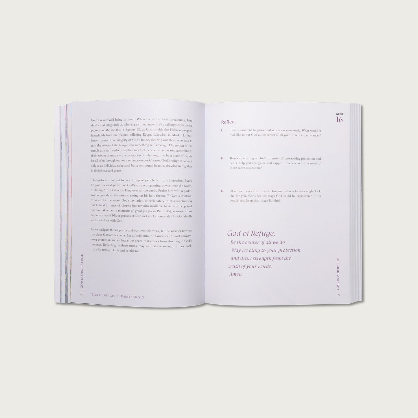 A Beautiful Year in the Bible: The 52-Week Bible Study for Women