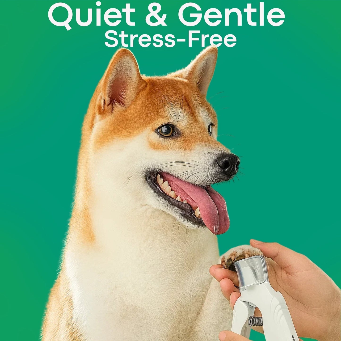 2-in-1 dog nail grinder and clipper