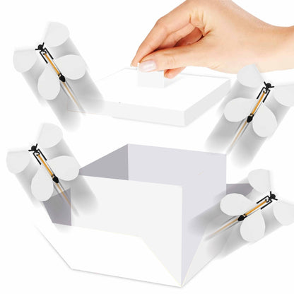 Explosion Box with Butterfly Surprise🦋