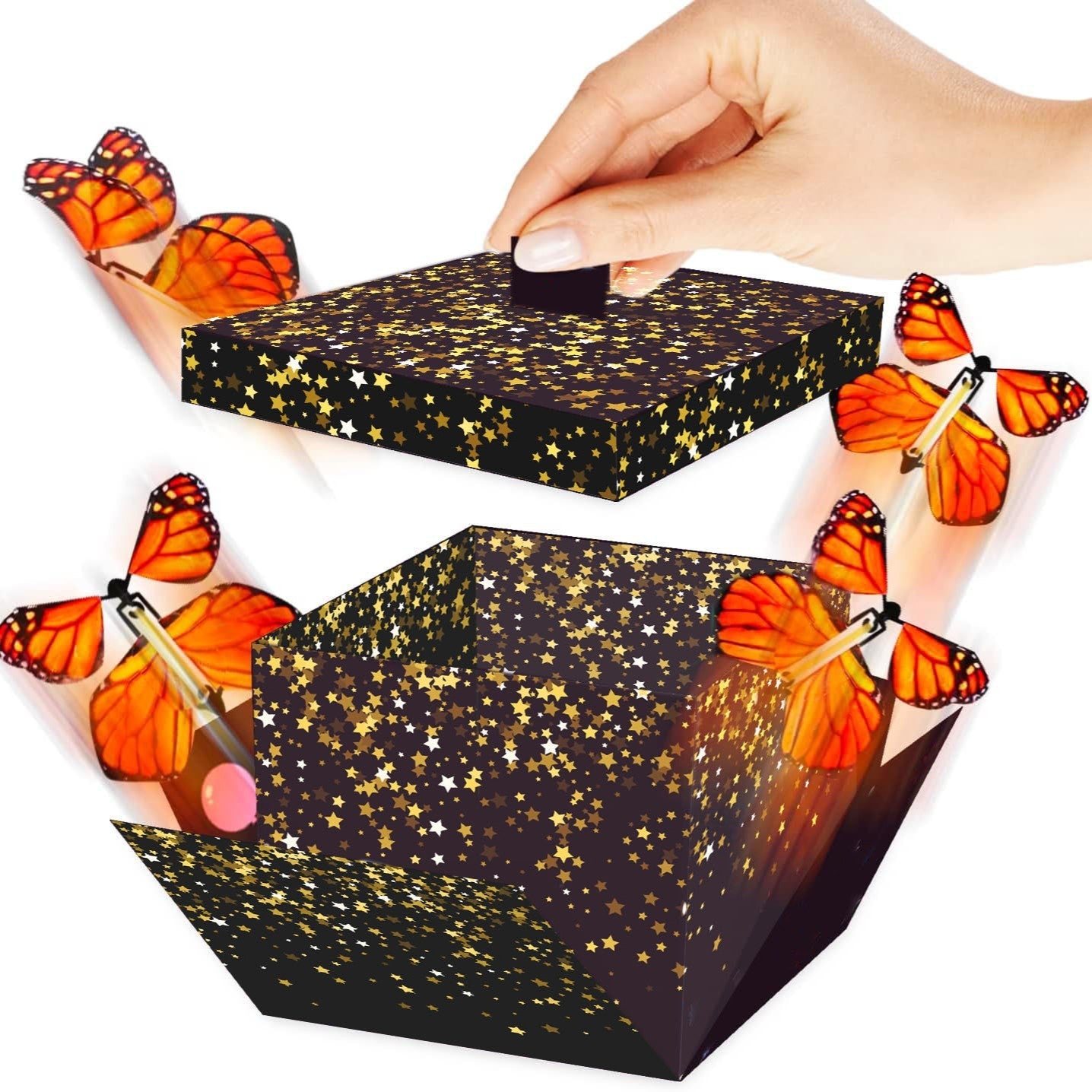 Explosion Box with Butterfly Surprise🦋
