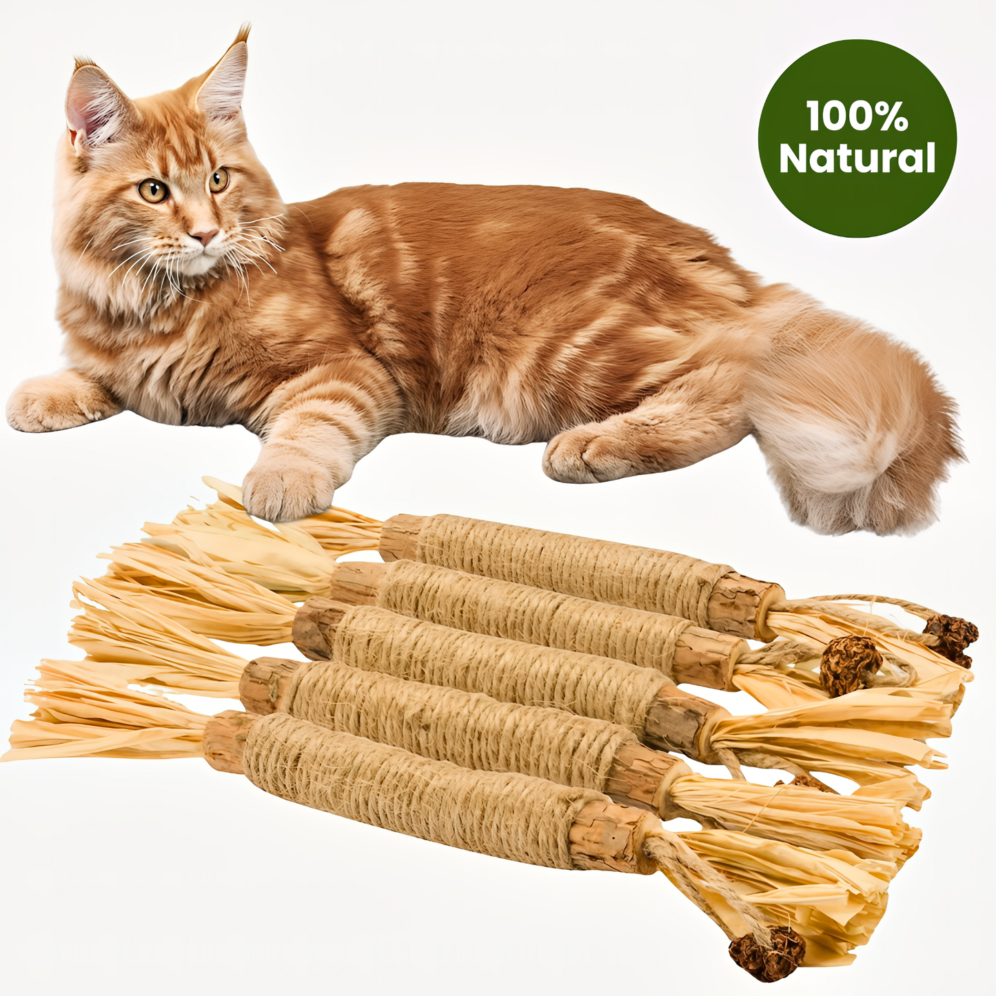 Tiktrove Natural Silvervine Dental Sticks