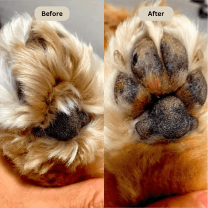 Tiktrove  Electric Fur Trimmer