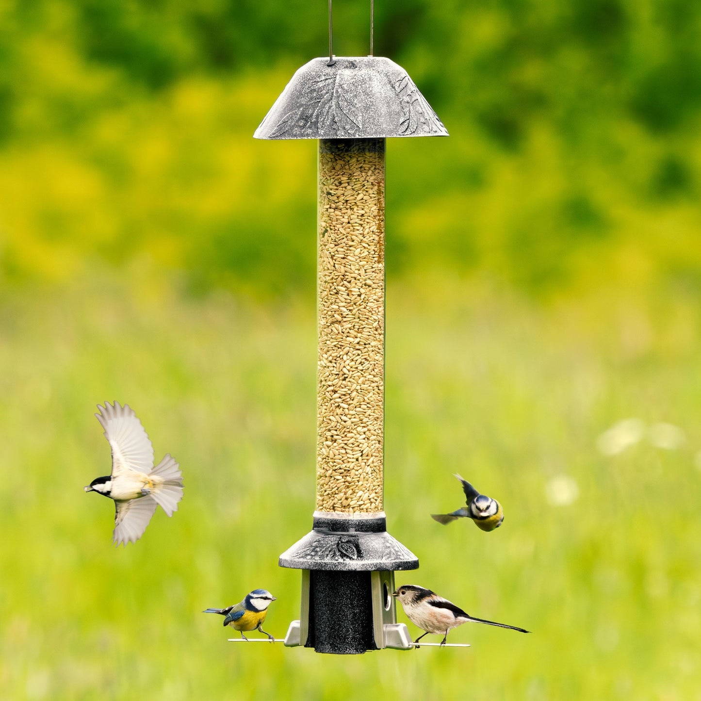 Tiktrove PestOff Squirrel Proof Bird Feeder 2.0