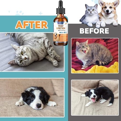 Puppy Yeast Relief Agent