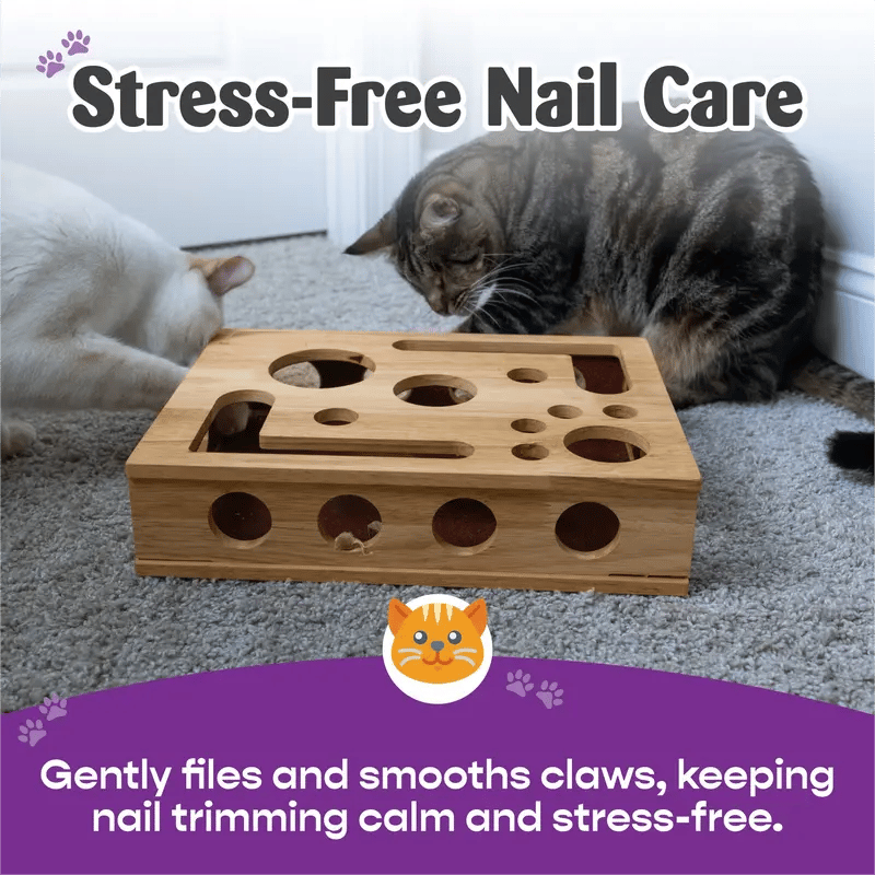 Cat Scratch Puzzle Enrichment Box