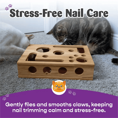 Cat Scratch Puzzle Enrichment Box